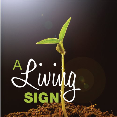 A-Living-Sign A Living Sign and Sacrament