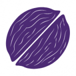 In-a-nutshell-Purple-150x150
