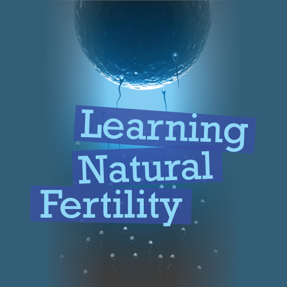 Learning-Natural-Fertility