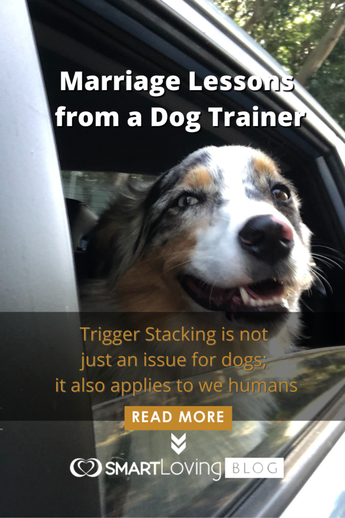 Marriage Lessons from a Dog Trainer PT|MarriageLessonsfromaDogTrainerWP|MarriageLessonsfromaDogTrainerWP|MarriageLessonsfromaDogTrainerWP2|MarriageLessonsfromaDogTrainerWP3|Marriage Lessons from a Dog Trainer WP3|Marriage Lessons from a Dog Trainer WP4 ||||||