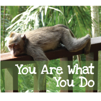 You-Are-What-You-Do You-Are-What-You-Do