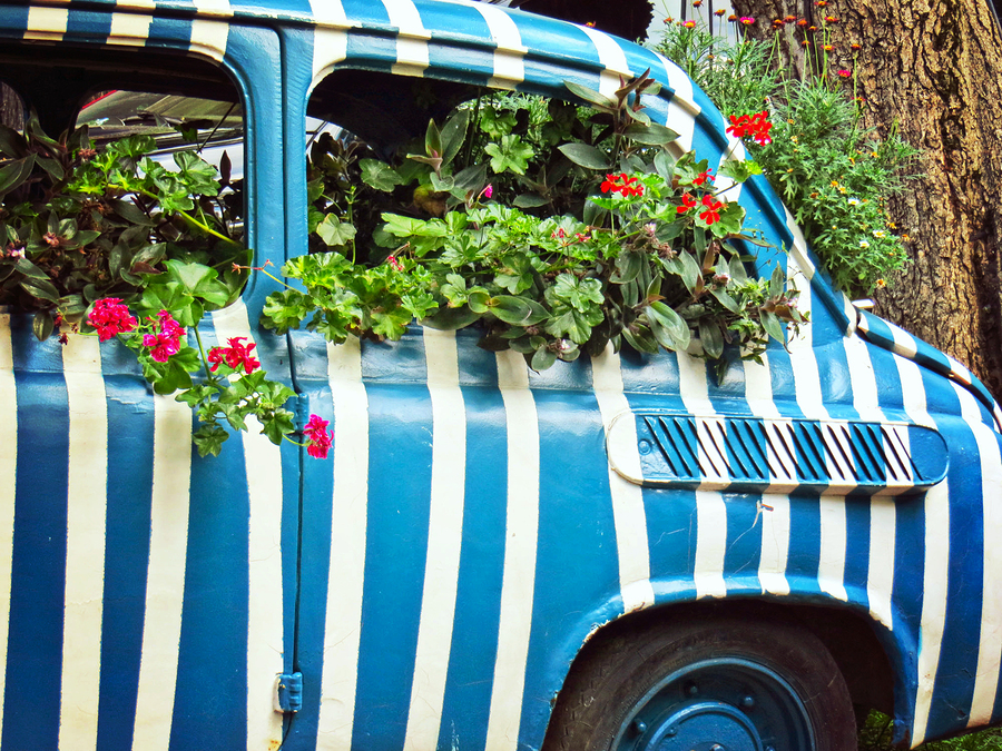 Old car is used as a bed for the garden flowers, art object