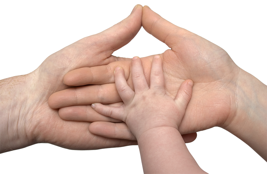 Baby's hand holding the hands of parents isolated at the white background